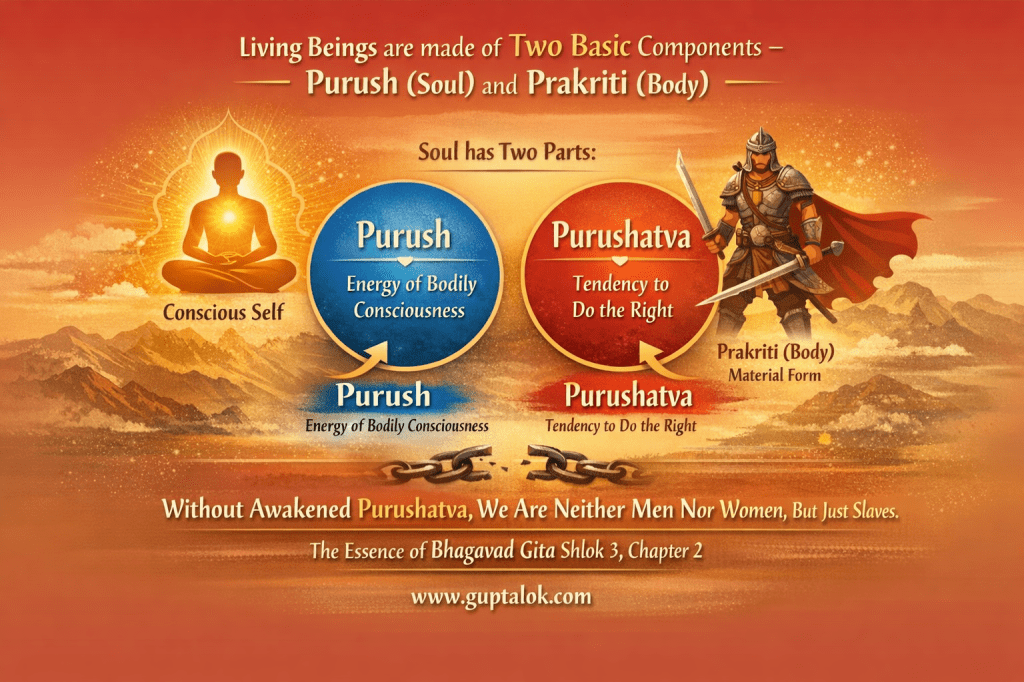 Infographic showing Bhagavad Gita 2.3 concepts: Purush as the energy of bodily consciousness, Purushatva as the tendency to do the right, Prakriti as the body, and the message that without awakened Purushatva we become slaves to material nature