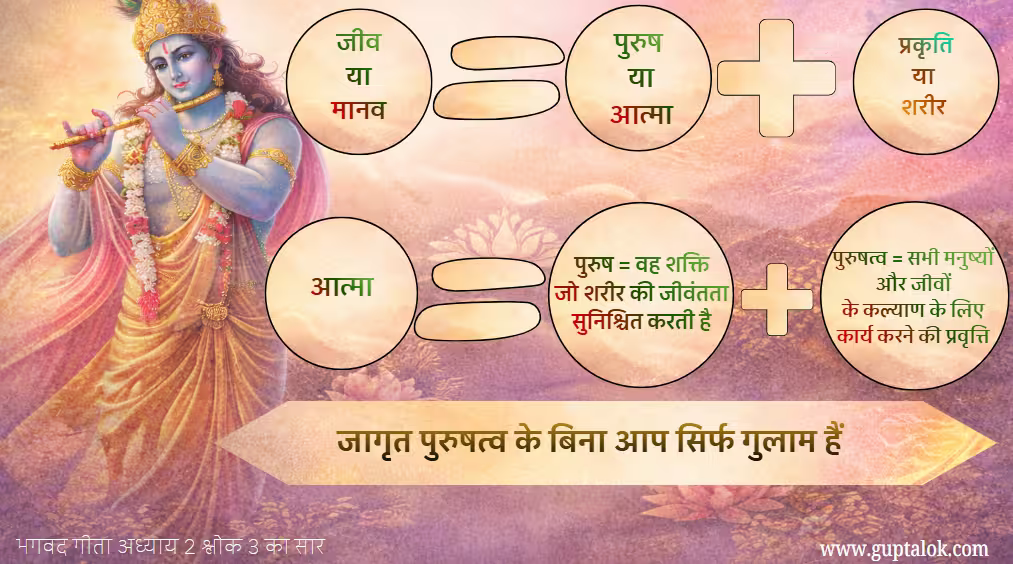 इन्फोग्राफिक जिसमें भगवद गीता अध्याय 2 श्लोक 3 के अनुसार पुरुष (आत्मा), प्रकृति (शरीर) और पुरुषत्व के आध्यात्मिक अर्थ को दर्शाया गया है, जहाँ पुरुष शरीर की जीवंतता की शक्ति है और पुरुषत्व सभी जीवों के कल्याण के लिए कार्य करने की चेतना को दर्शाता है।