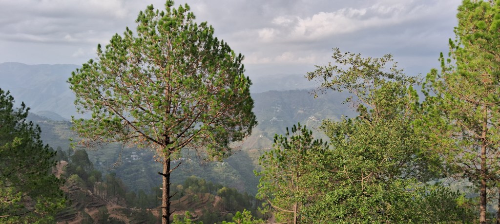 Panoramic valley view from Joshi Holiday Homestay in Jaiharikhal near Lansdowne, featuring pine-covered hills, terraced slopes, and dramatic clouds over the Garhwal Himalayas.